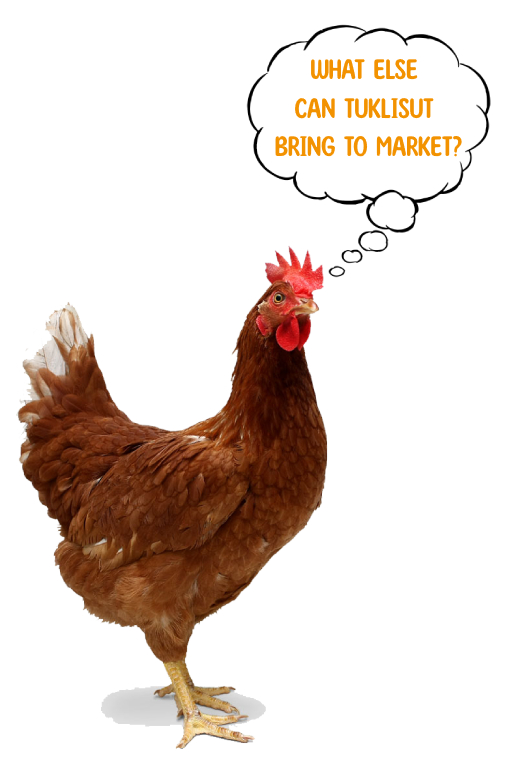 chicken-png-40291